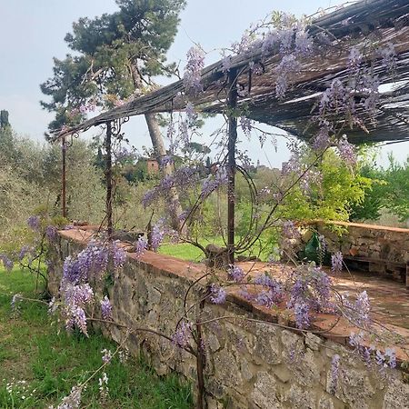 Bed and Breakfast Casa Ezio Marchi Bettolle Exterior foto