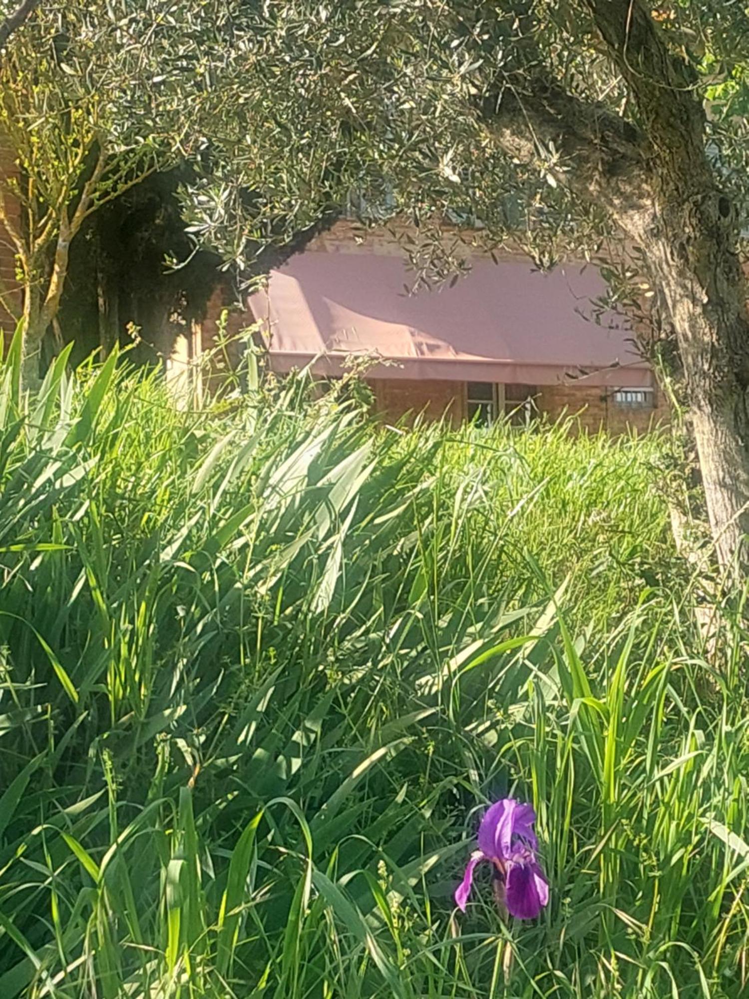 Bed and Breakfast Casa Ezio Marchi Bettolle Exterior foto